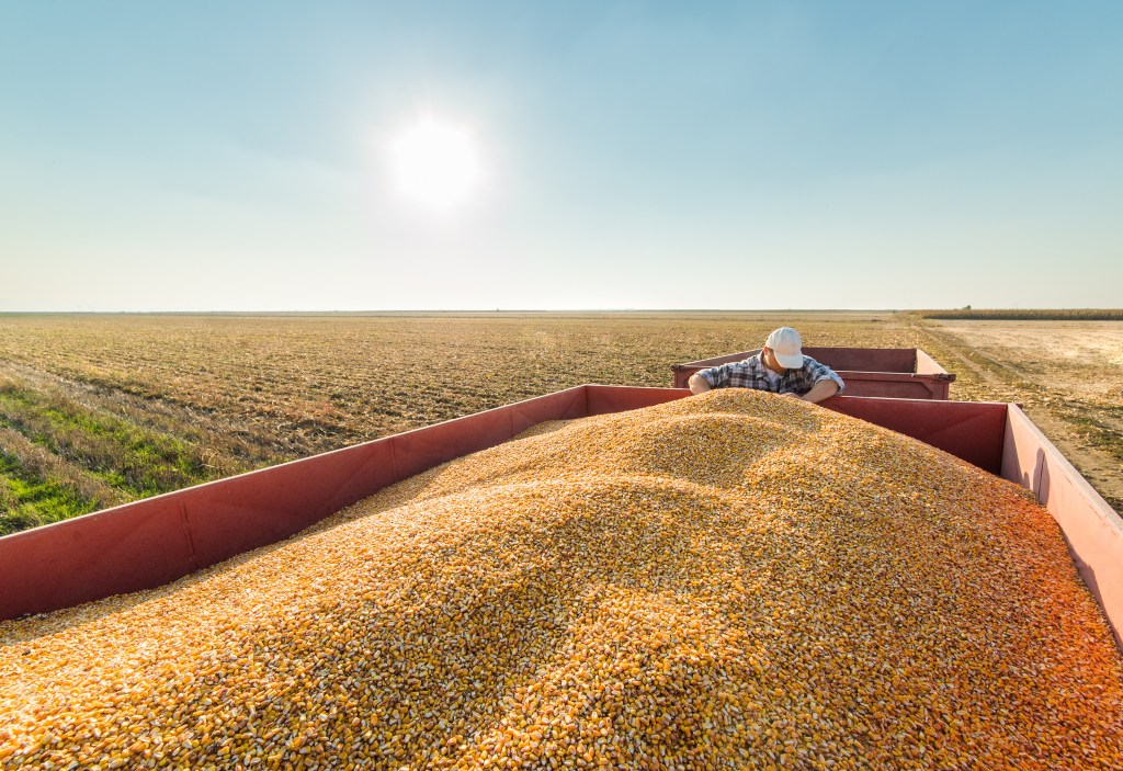 US farmers face harsh economics with record corn supplies in&nbsp;silos