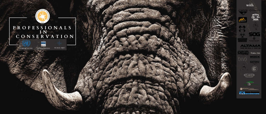 How to spot a fake&nbsp;sanctuary