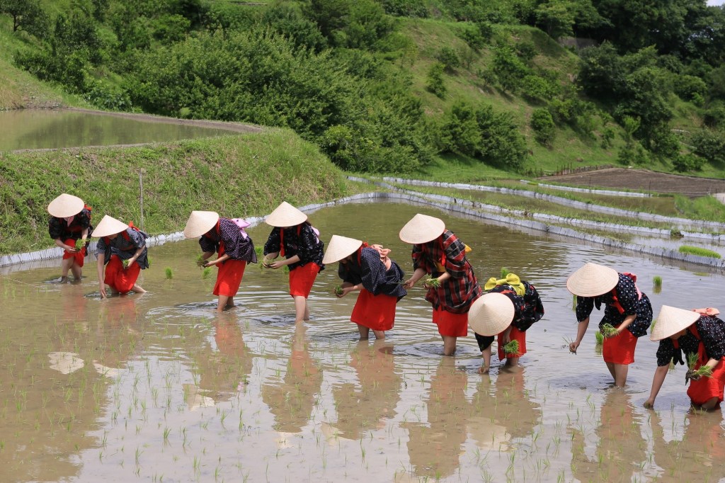 Japan – The Role of Traditional Rice&nbsp;Cultivation