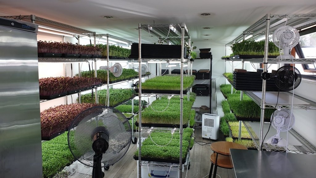 The Rise of Micro Farms in the&nbsp;UK